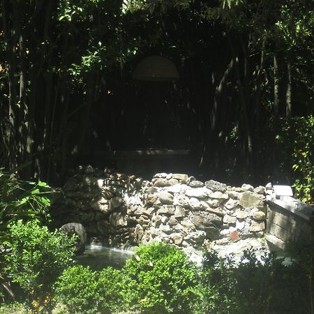 Villa Patrizia B&B Λούκα Εξωτερικό φωτογραφία