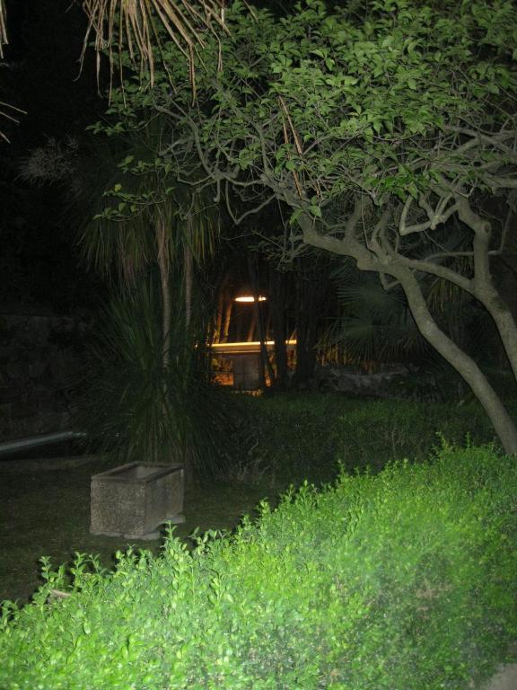 Villa Patrizia B&B Λούκα Εξωτερικό φωτογραφία