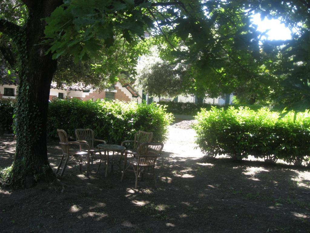 Villa Patrizia B&B Λούκα Εξωτερικό φωτογραφία