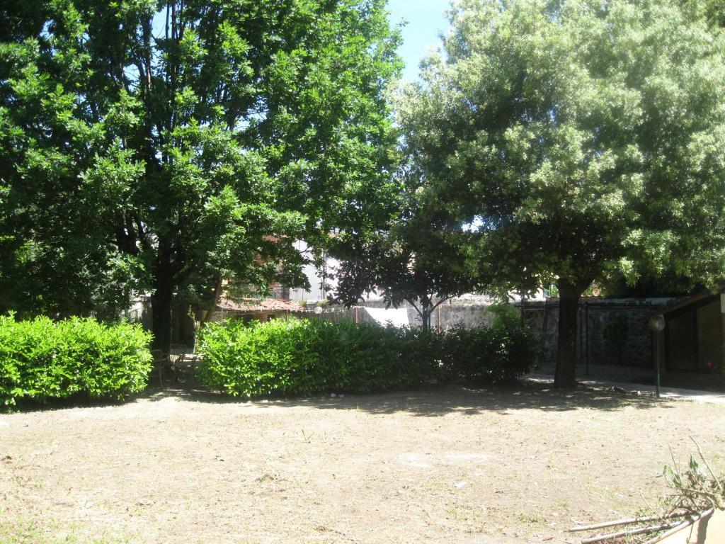 Villa Patrizia B&B Λούκα Εξωτερικό φωτογραφία